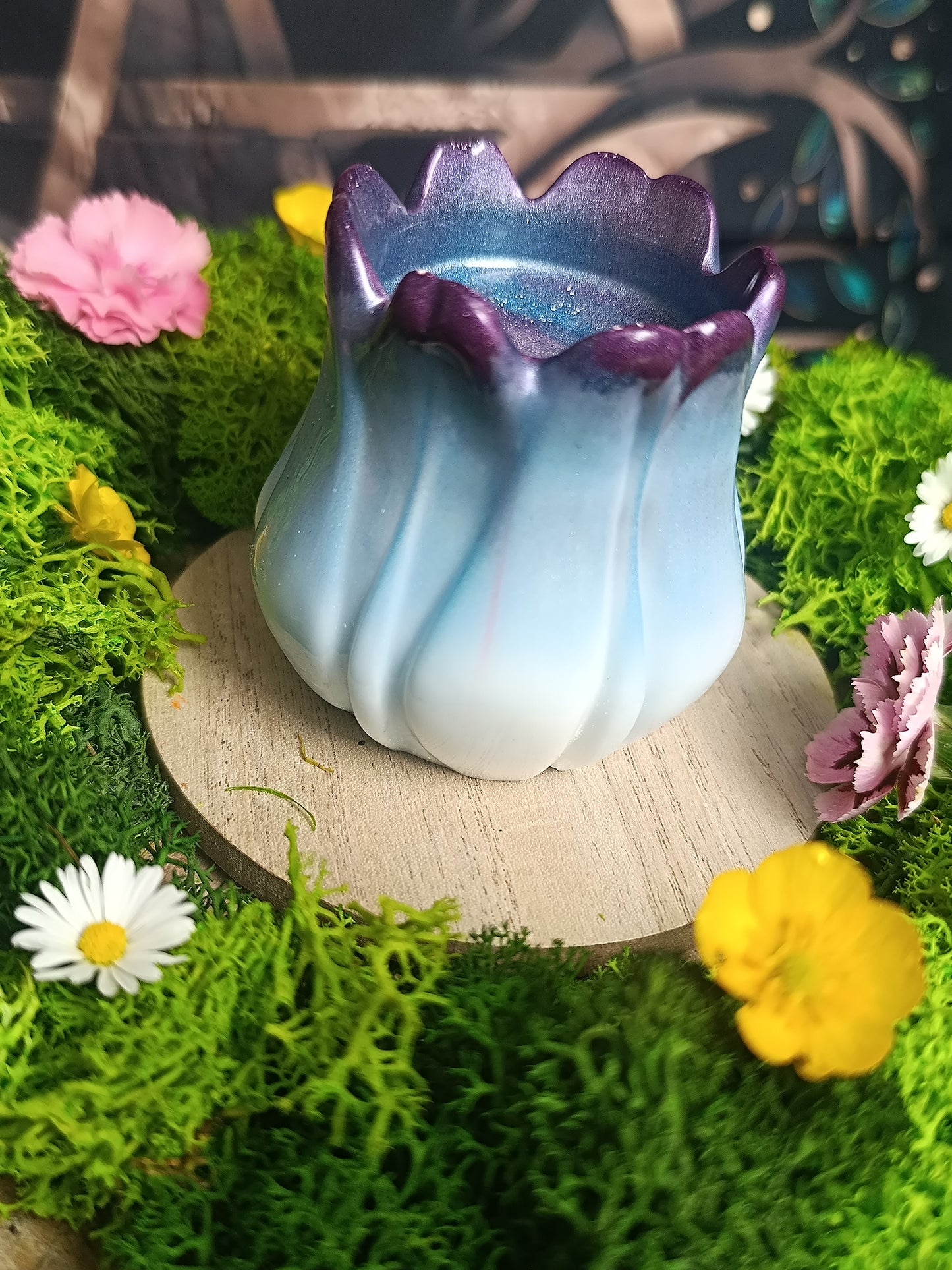 🌷 Tulipe enchantée 🌸