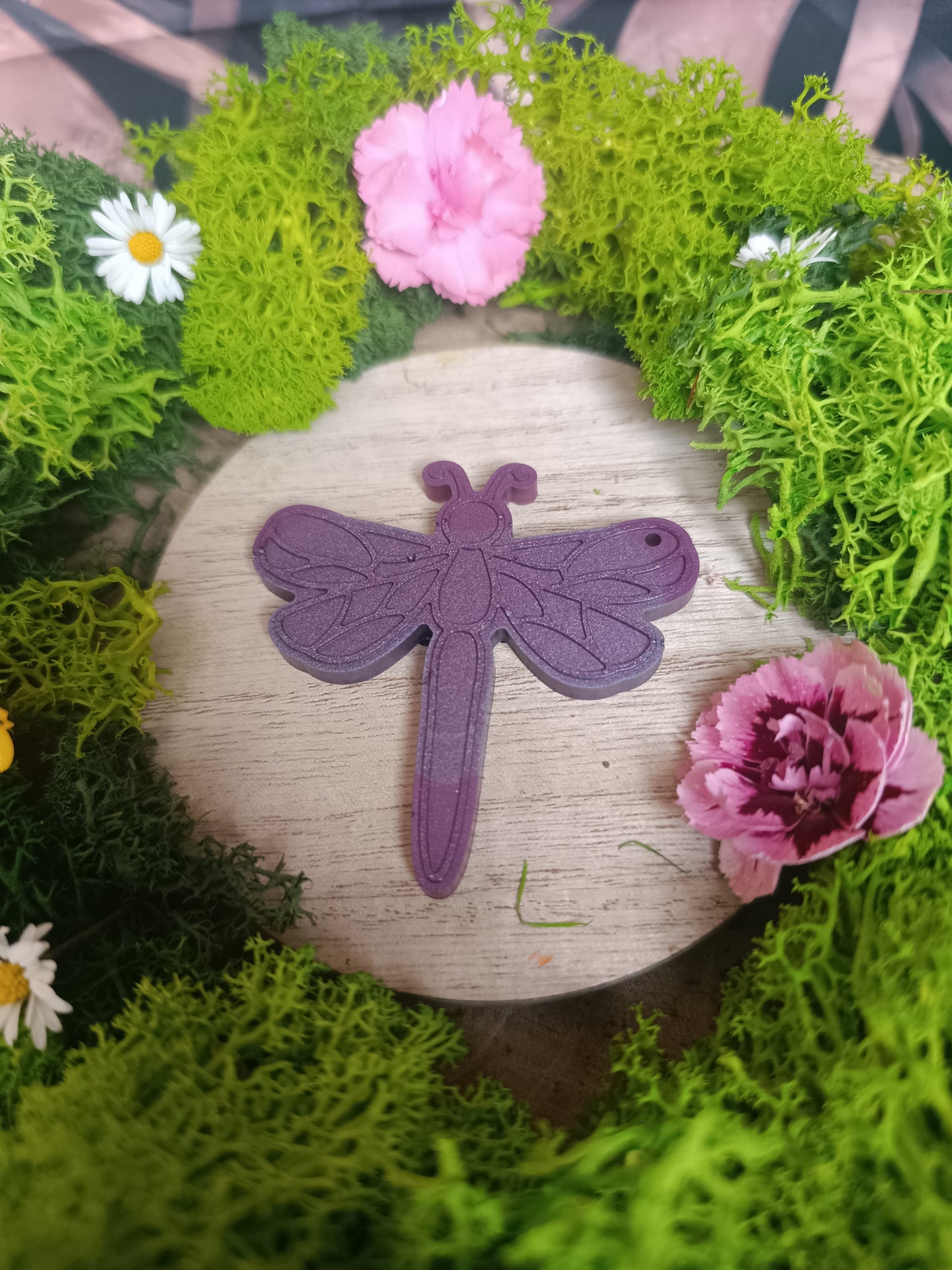 Libellule enchanté