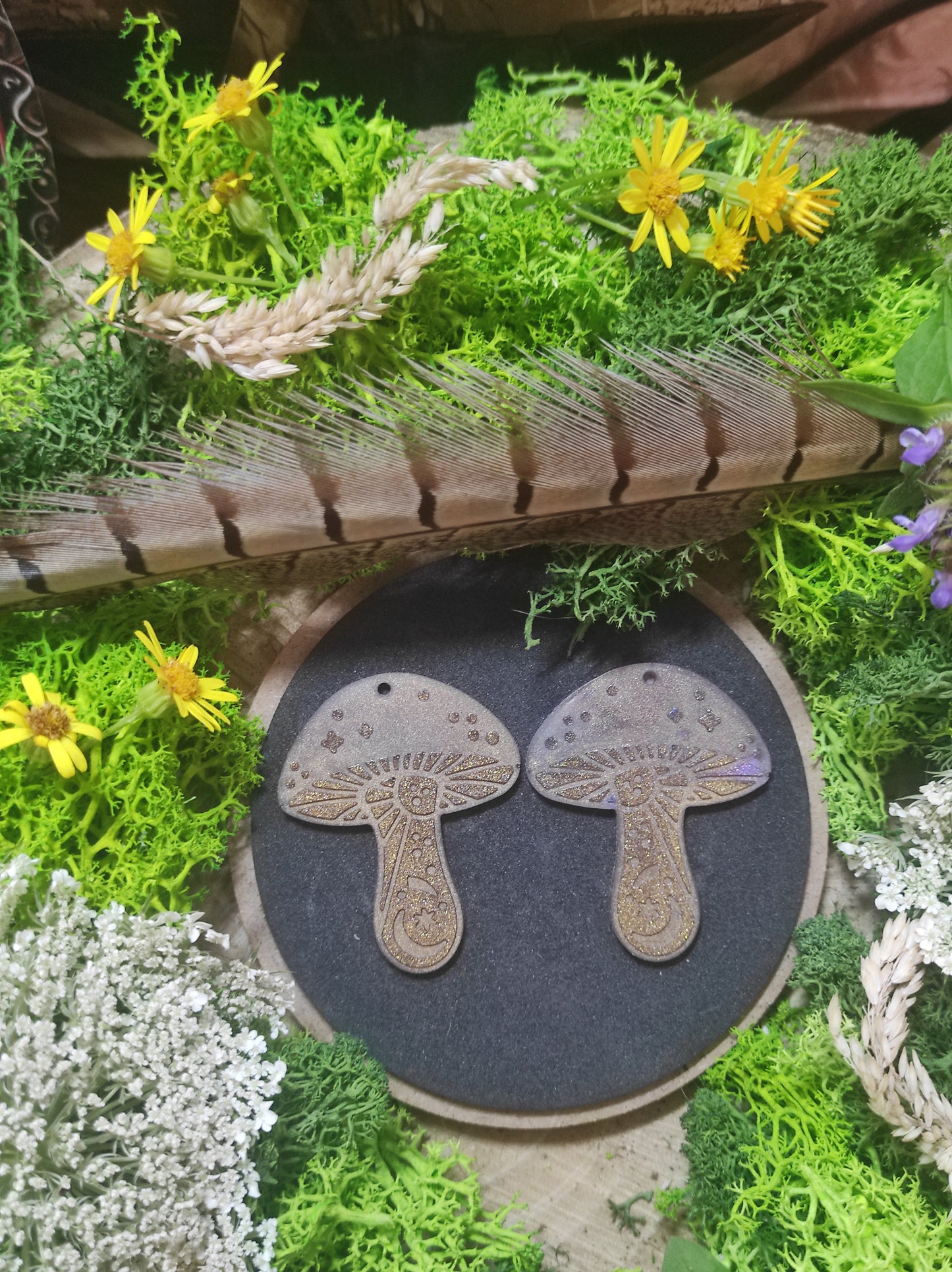 Pampilles de Lumières