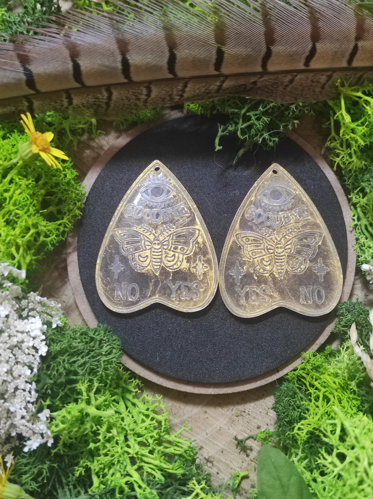 Pampilles de Lumières