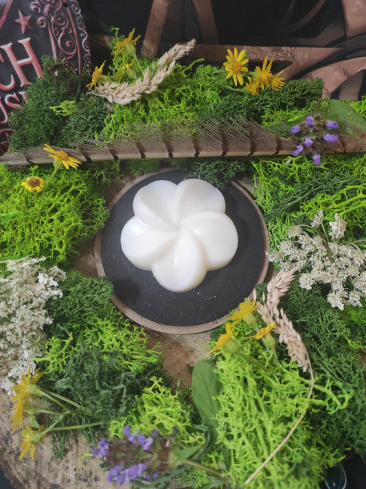 🌺Élixir de Lune Polynésienne🕯️