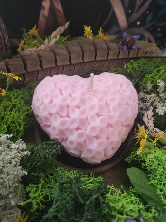 🕯️Flamme d'Âme 💗