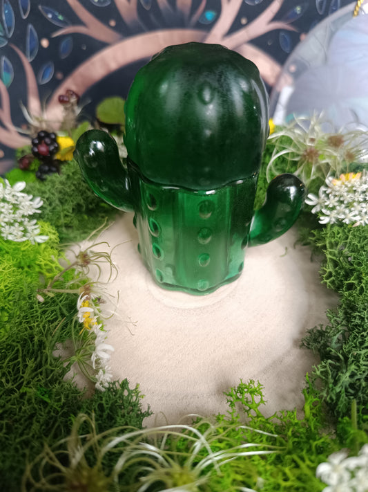 Le Gardien du Désert 🌵