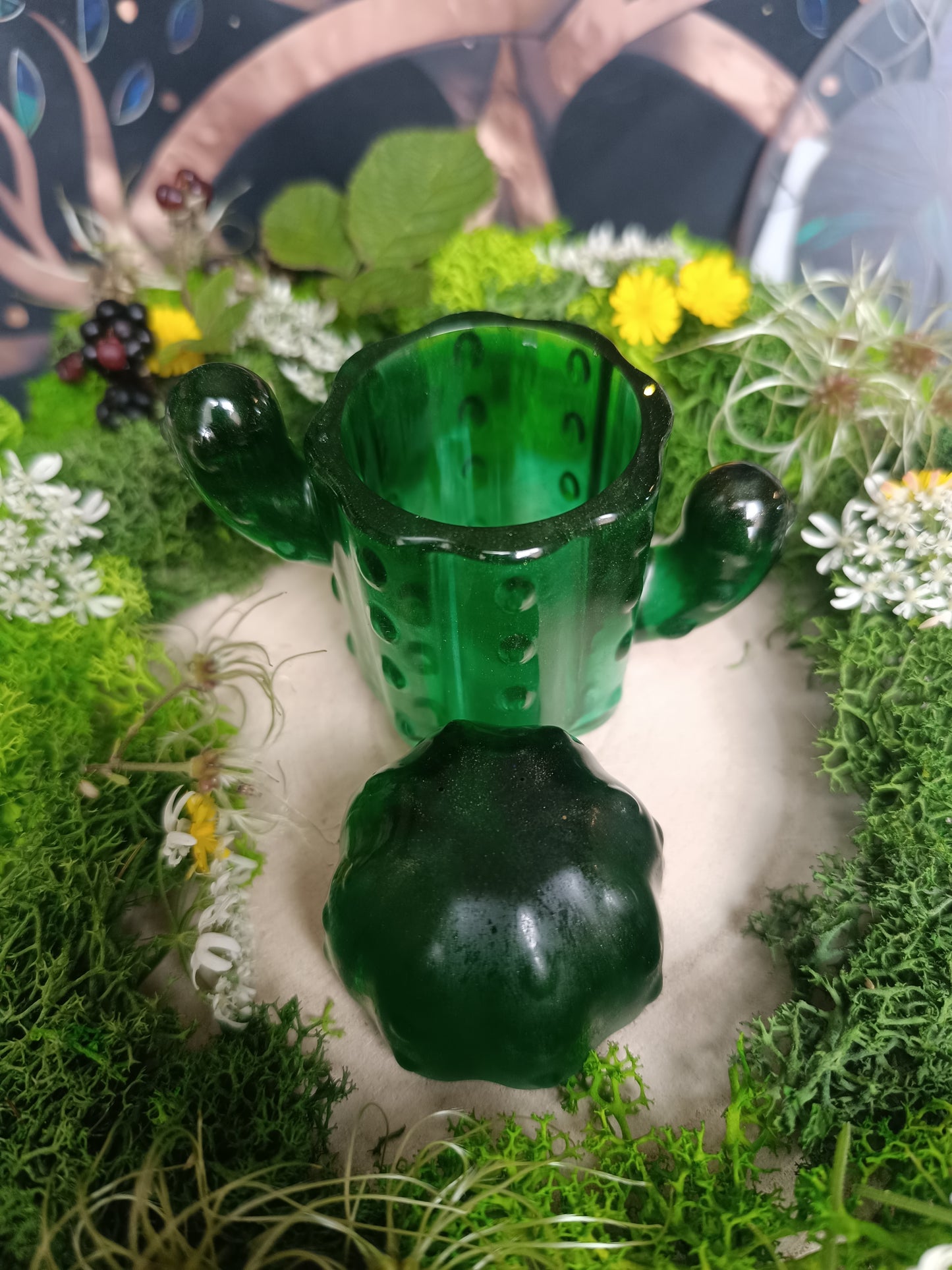 Le Gardien du Désert 🌵