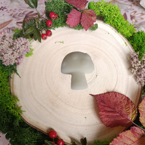 Les Fondants de Fin d'Année 🎃 Paquet de 40g