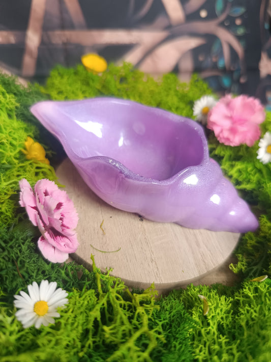 🐚 Coquillage ensorcelé 🪄