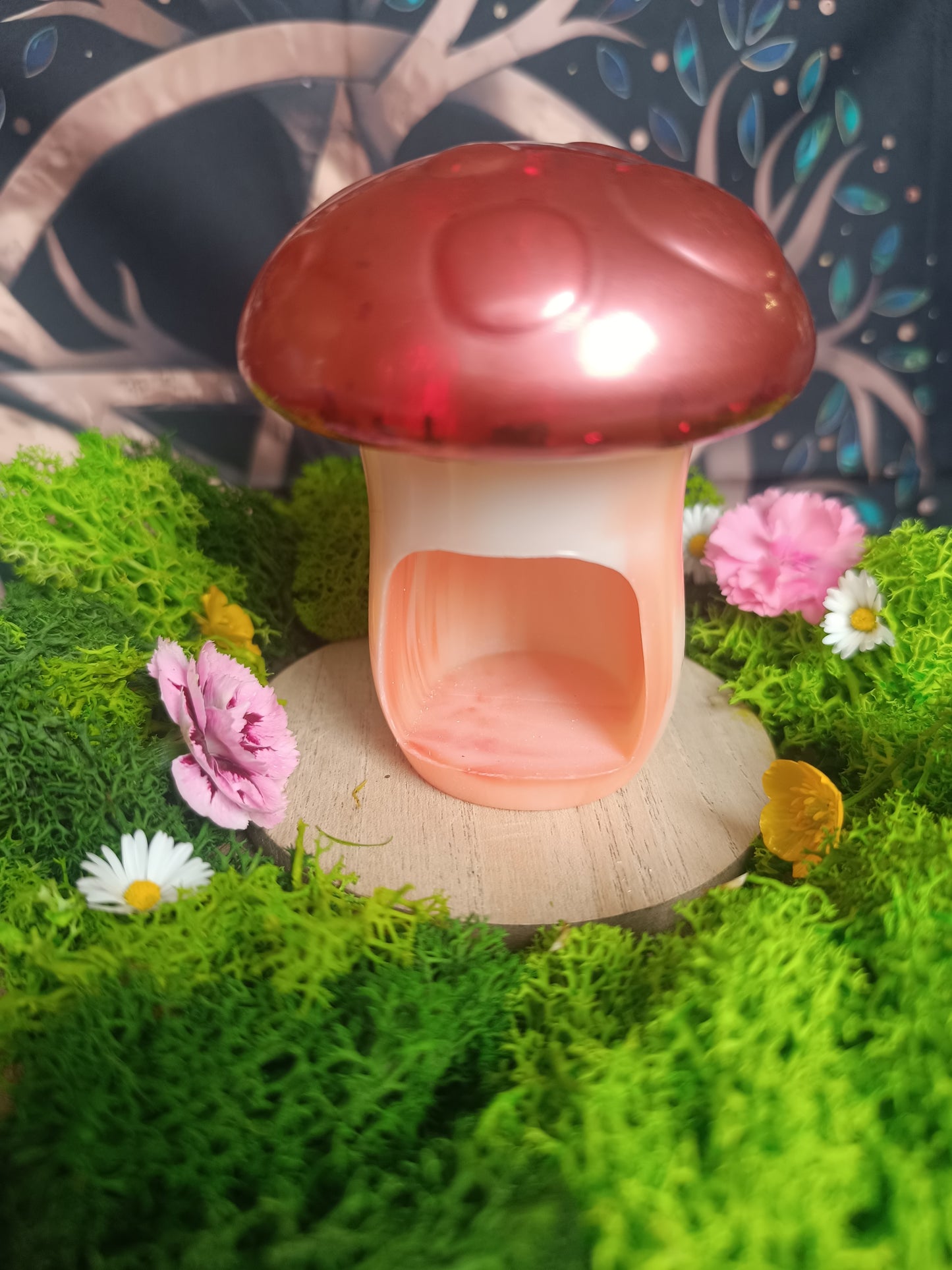 La maison champignon 🍄