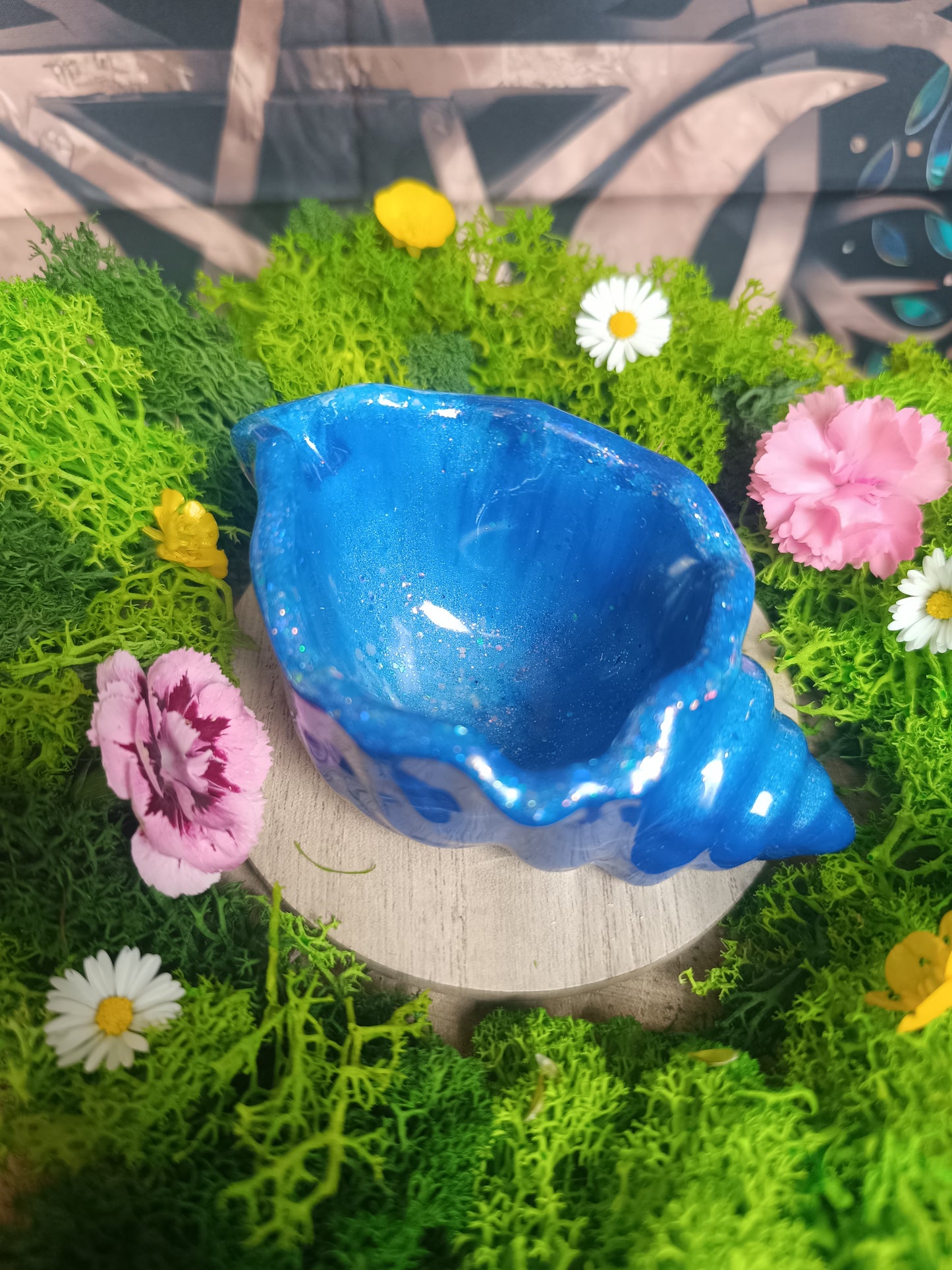 🐚 Coquillage ensorcelé 🪄