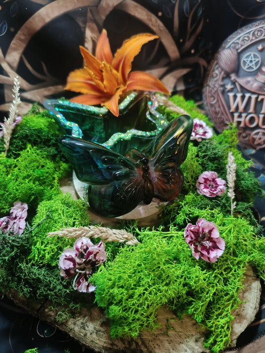 🦋 La boîte ailées 🌸