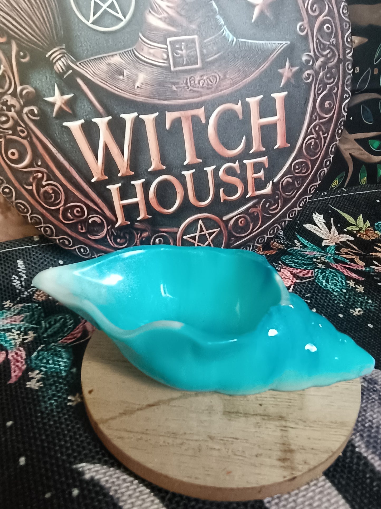 🐚 Coquillage ensorcelé 🪄