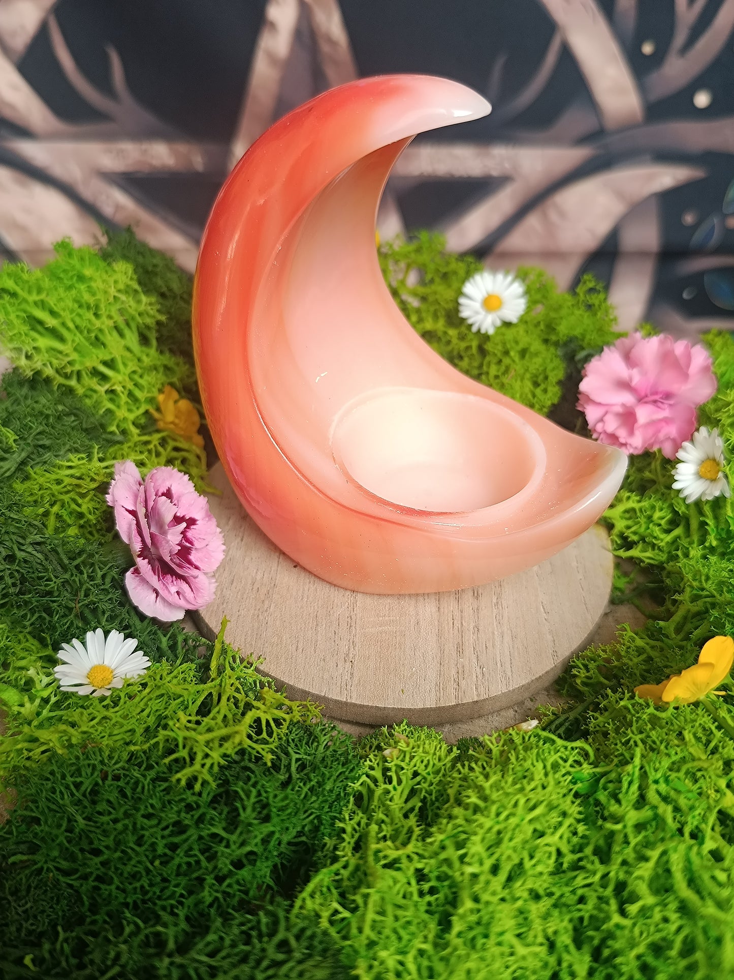 Clair de Lune Enchanté