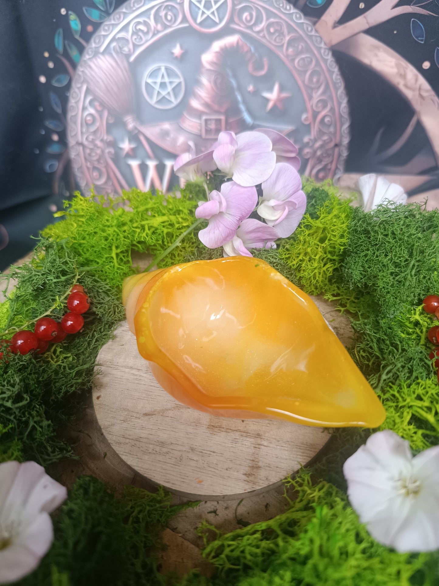 🐚 Coquillage ensorcelé 🪄