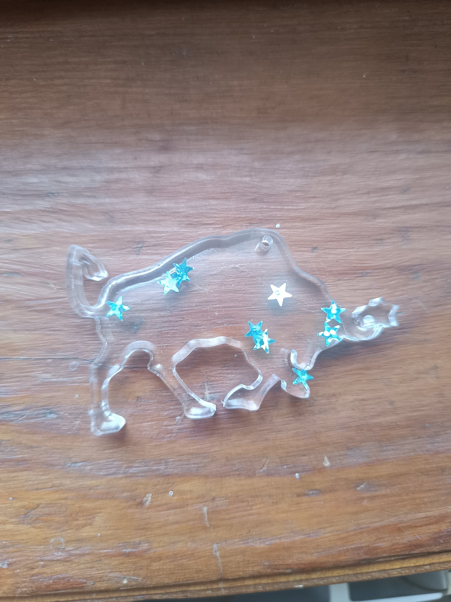 Porte clefs Signe Astrologique