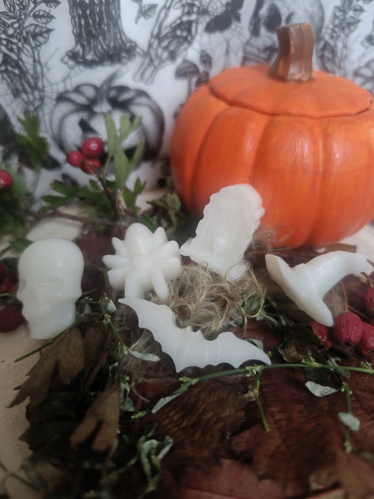 Les Fondants de Fin d'Année 🎃 Paquet de 40g